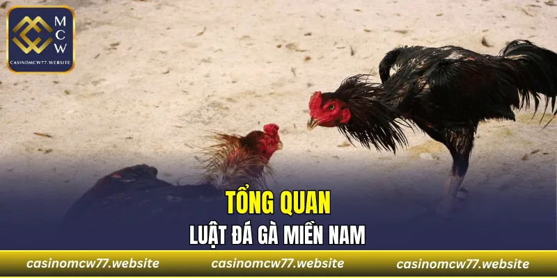 Một trong những hệ thống phổ biến nhất làng kê độ