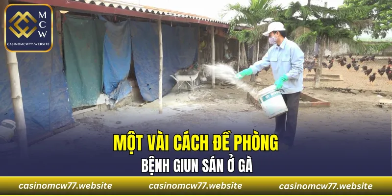 Một vài cách đề phòng bệnh giun sán ở gà