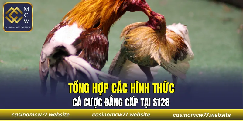 Một vài loại hình chọi kê phổ biến tại sảnh