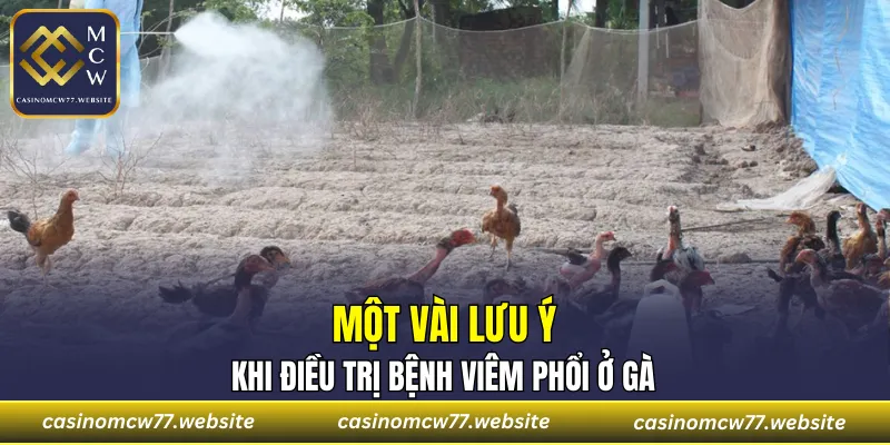 Một vài lưu ý khi điều trị bệnh viêm phổi ở gà