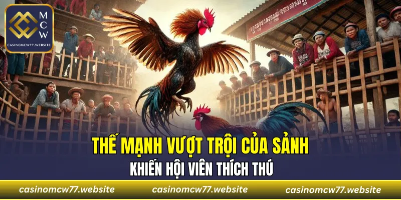 Một vài ưu điểm nổi bật tại sân chơi