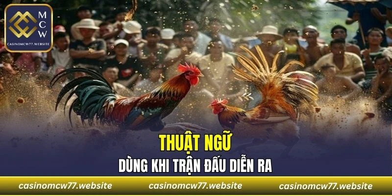 Người chơi cũng dùng nhiều thuật ngữ để nhận xét tình hình