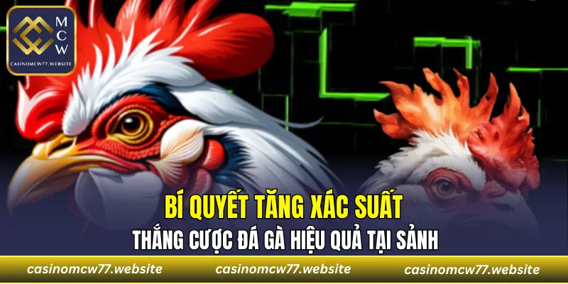 Những bí quyết tăng tỷ lệ thắng cược cho player
