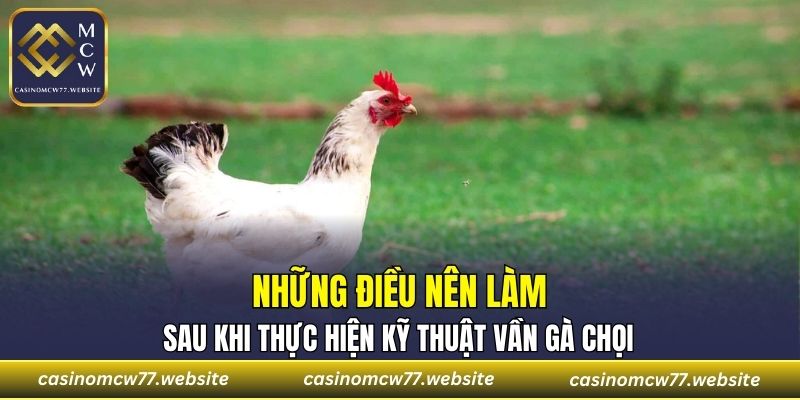 Những điều nên làm sau khi thực hiện kỹ thuật vần gà chọi