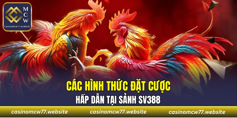 Những hình thức cược hấp dẫn mà sảnh cung cấp