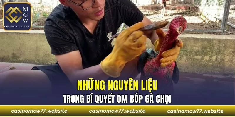 Những nguyên liệu trong bí quyết om bóp gà chọi