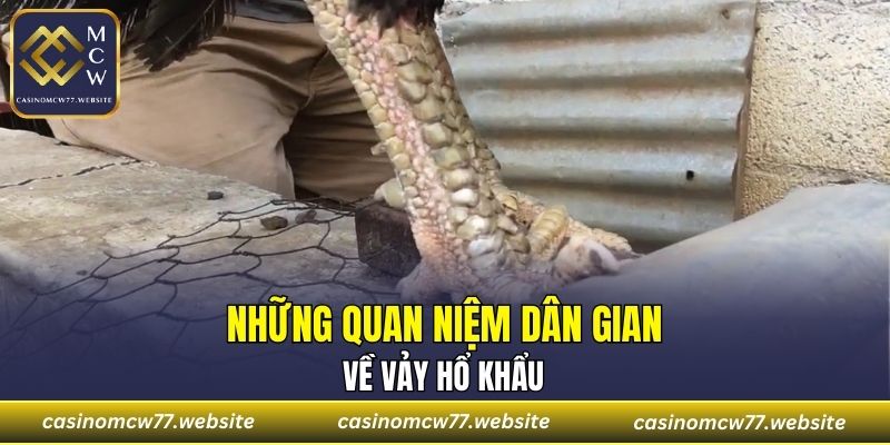 Những quan niệm dân gian về vảy hổ khẩu