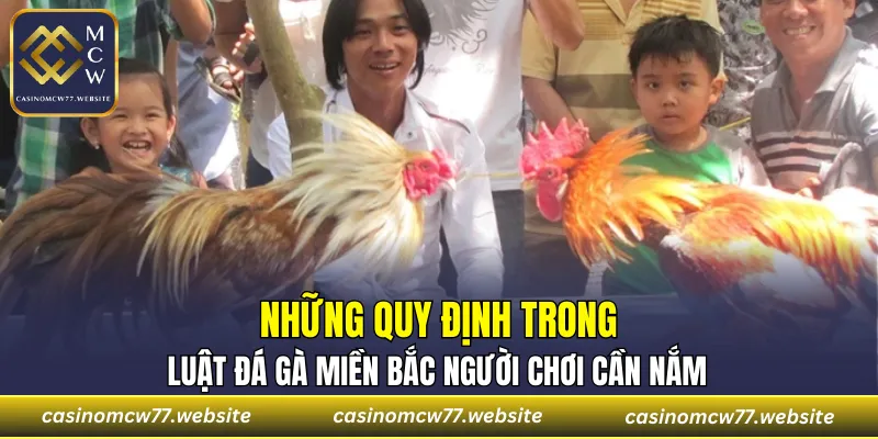 Những quy định trong luật đá gà miền bắc player cần nắm