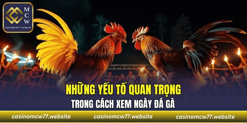 Những yếu tố trong cách xem ngày đá gà