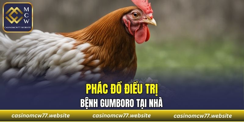 Phác đồ điều trị bệnh Gumboro tại nhà