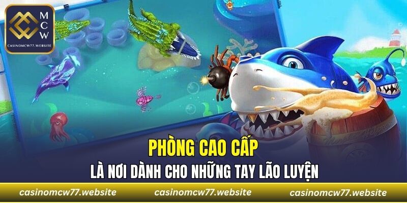 Phòng cao cấp là nơi dành cho những tay lão luyện