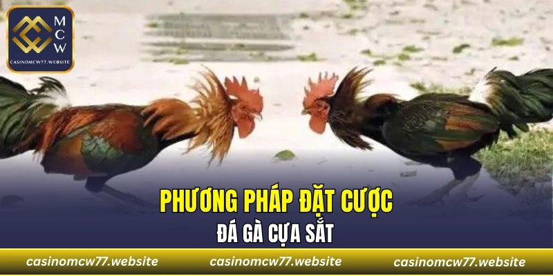 Phương pháp đặt cược đá gà cựa sắt