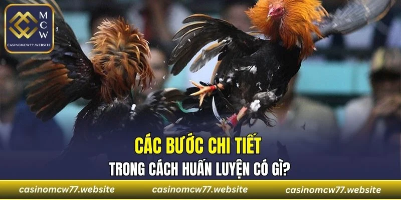 Quá trình rèn dũa không hề được xem nhẹ