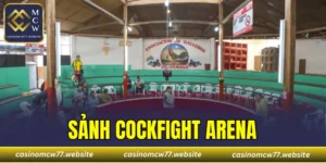 Sảnh Cockfight Arena