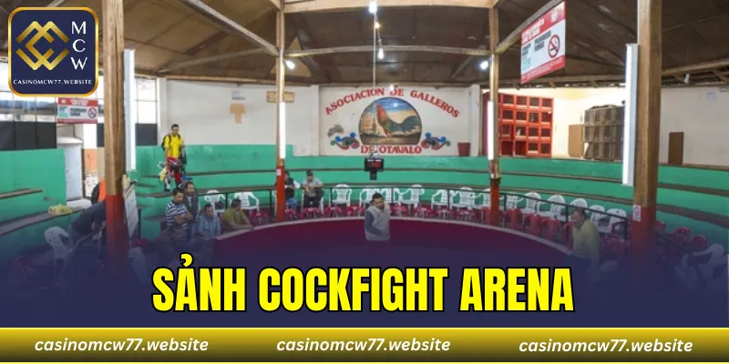 Sảnh Cockfight Arena