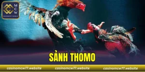 Sảnh Thomo