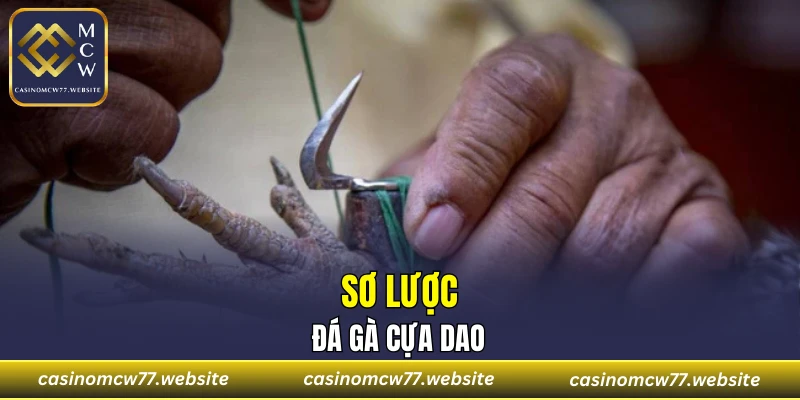 Sơ lược đá gà cựa dao