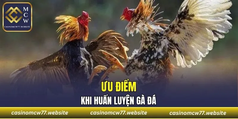 Tác dụng của việc áp dụng đào tạo