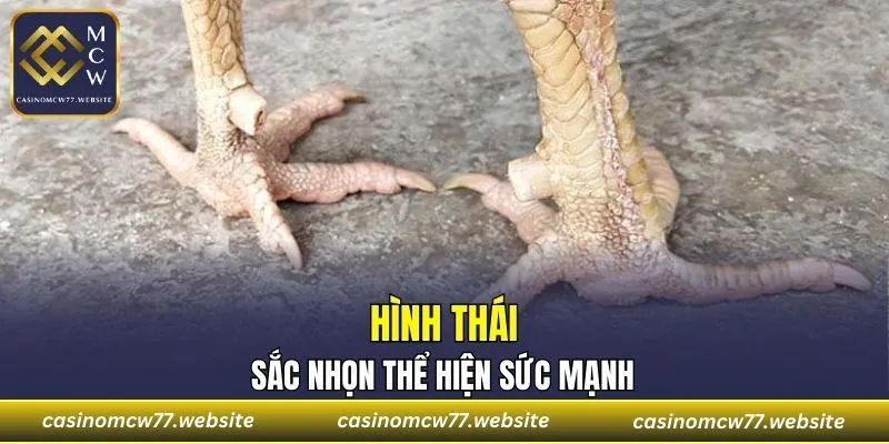 Tạo hình sắc nhọn chính xác