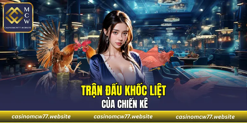 Tập hợp trận đấu khốc liệt của chiến kê