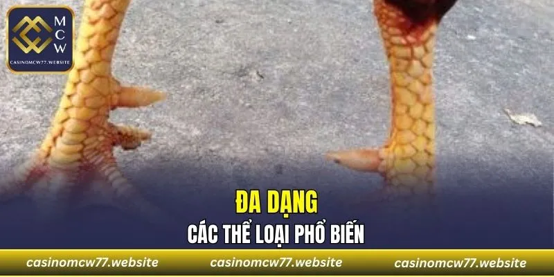 Thể loại cựa nhọn mũi dao