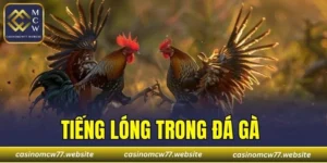 Tiếng Lóng Trong Đá Gà