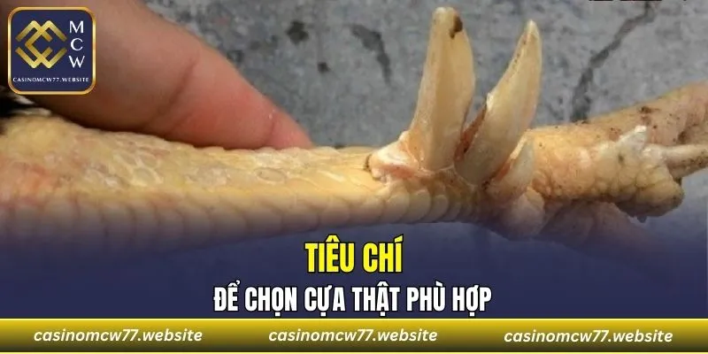 Tiêu chí để chọn cựa thật phù hợp