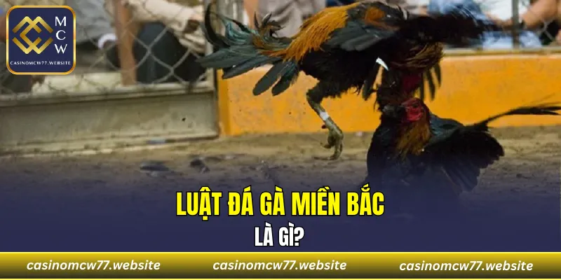 Tìm hiểu thông tin về luật cá cược miền Bắc