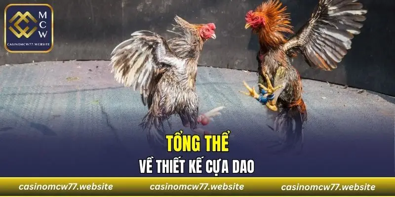 Tổng thể về thiết kế cựa Dao