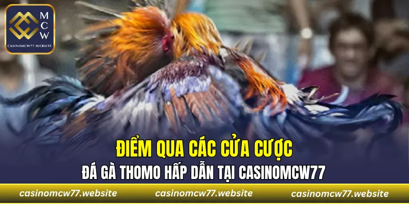 Top 3 kèo cược đá gà Thomo thú vị