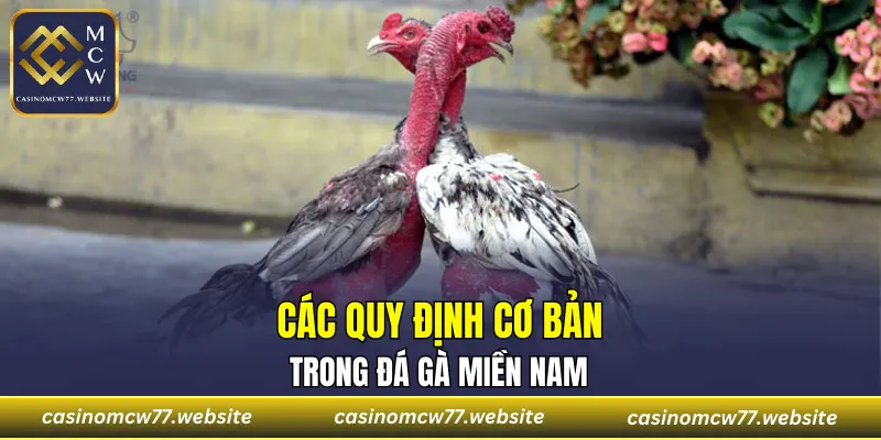 Trận kéo dài đến khi có kết quả chung cuộc rõ ràng