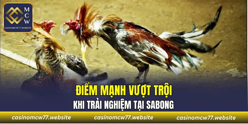 Ưu điểm nổi bật khi chơi tại sảnh Sabong