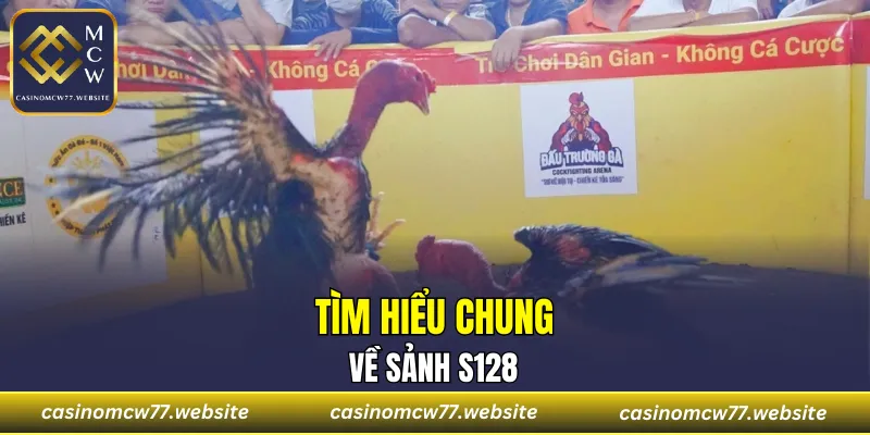 Vài nét về sảnh S128 thú vị