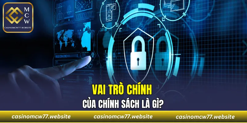 Vai trò chính của chính sách là gì?