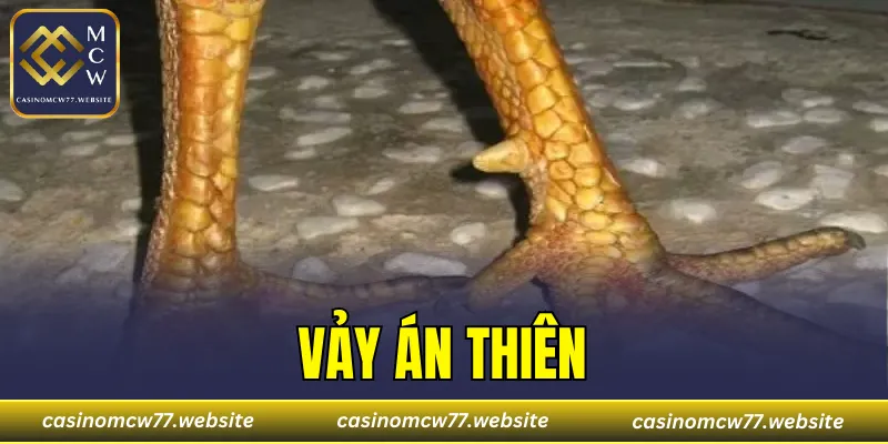 Vảy Án Thiên