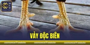 Vảy Độc Biên