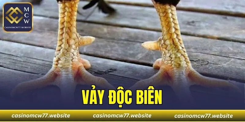 Vảy Độc Biên