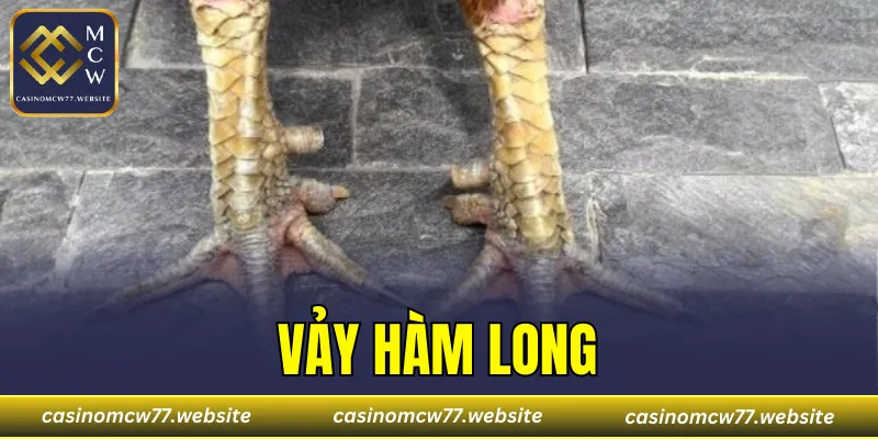 Vảy Hàm Long