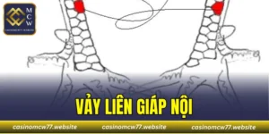 Vảy Liên Giáp Nội