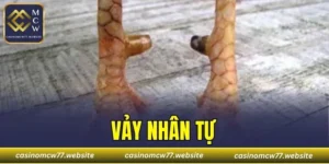Vảy Nhân Tự