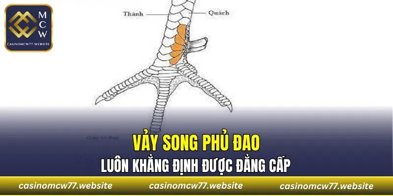 Vảy Song Phủ Đao luôn khẳng định được đẳng cấp