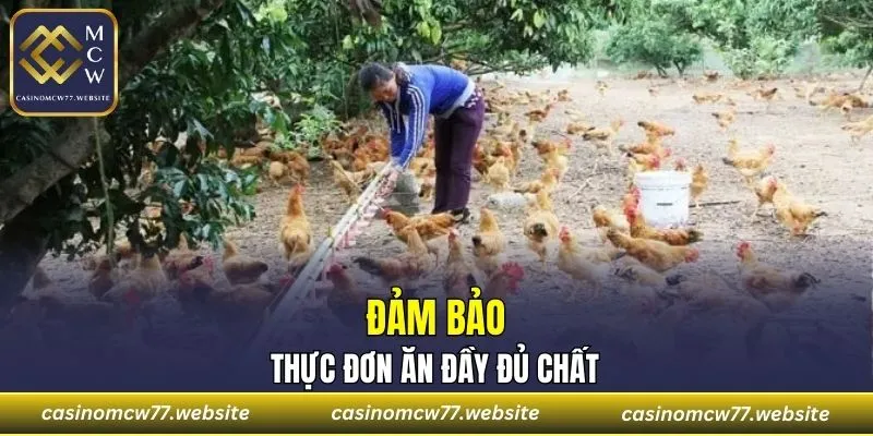 Xây dựng thực đơn ăn uống